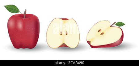 Red whole apple and a half of apple. Fresh fruit isolated on white. Vector illustration Stock Vector