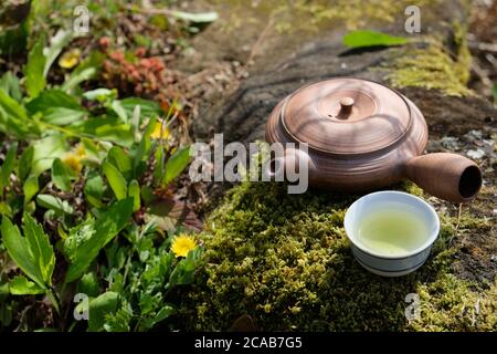 Beautiful brown teapot from the Japanese potter, Tokoname Japan, with the background of nature element and moss. Stock Photo
