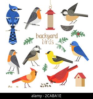 Birdwatching icon vector set. Red Northern cardinal, robin chickadee, blue bird, goldfinch comic flat cartoon illustration. Garden backyard birds sign Stock Vector