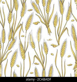 Wheat graphic color seamless pattern sketch illustration vector Stock ...