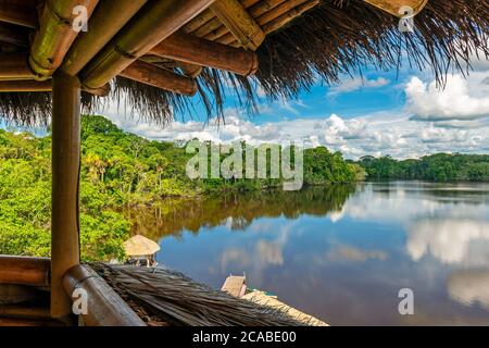 Amazon Rainforest landscape seen from a bird watching observation tower, Yasuni national park, Ecuador. Stock Photo