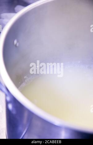 Large pot of heated milk which has had the bacteria/cluture and rennet already added in Fall City, Washington, USA Stock Photo