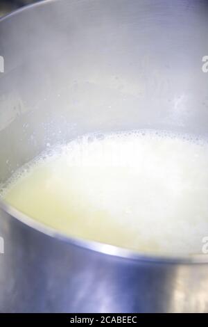 Large pot of heated milk which has had the bacteria/cluture and rennet already added in Fall City, Washington, USA Stock Photo