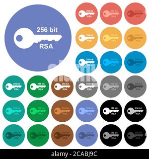 256 bit rsa encryption multi colored flat icons on round backgrounds. Included white, light and dark icon variations for hover and active status effec Stock Vector