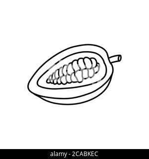 cacao fruit and beans doodle icon, vector line illustration Stock Vector