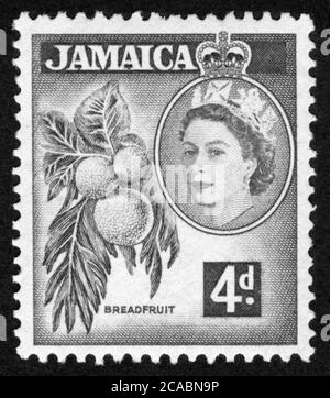 Stamp print in Jamaica, Breadfruit Stock Photo