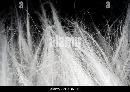 Close-up view of artificial fur rug Stock Photo