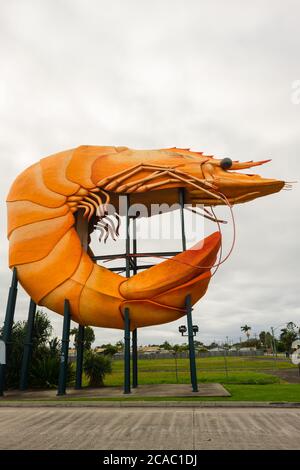 Ballina, Australia - July 2020: Big Prawn, one of the iconic 'giant things' dotted around  Australia. The prawn had a makeover in 2013 to add the tail Stock Photo