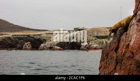 PARACAS, PERU - Sep 27, 2019: touristic boat visiting the Ballestas Islands, in Paracas. Archipelago in the Pacific, home to many animals Stock Photo