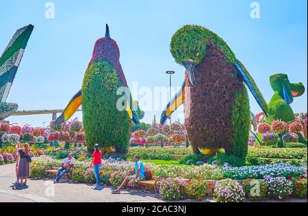 DUBAI, UAE - MARCH 5, 2020: The penguins installtion amid the beautiful petunia flower beds in Miracle Garden, on March 5 in Dubai Stock Photo