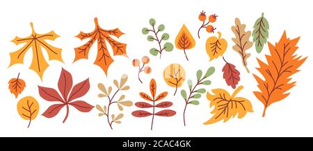 autumn set. Multicolored and differently shaped leaves, branches and berries on a white background. For autumn design and decoration, print. Vector  Stock Vector