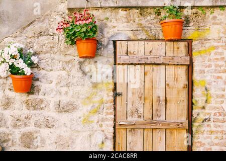 Wooden door to a house decorated with flower pots on a stone wall. Stock Photo