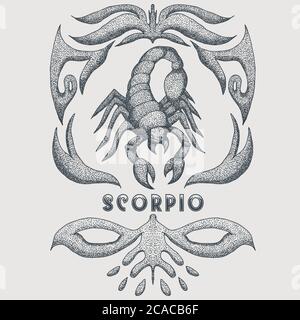 scorpio zodiac vintage Vector illustration for your company or brand Stock Vector