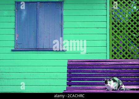 Surreal Pop Art Style Candy Colored Cat Relaxing on a Purple Bench in front of the Colorful Wooden House Stock Photo