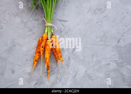 Bunch of organic tasty carrots with green leaves on a gray concrete background. View from above. Healthy food concept. Flat lay. Copy space. Stock Photo