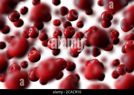 Flying or levitated cherries on a light background with steam or water particles Stock Photo