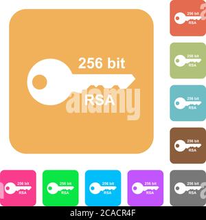 256 bit rsa encryption flat icons on rounded square vivid color backgrounds. Stock Vector
