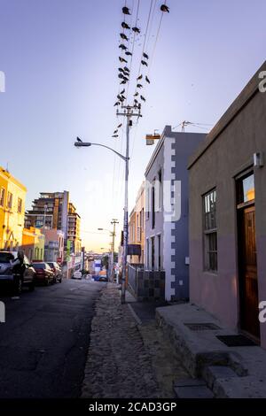 Brightly coloured green mosque in the historic neighborhood of Bo-Kaap, Cape Town, South Africa Stock Photo