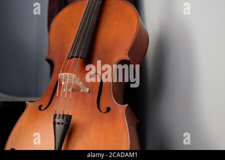 Close up one brown cello close to the wall. Shadow on white wall copy space. Stock Photo