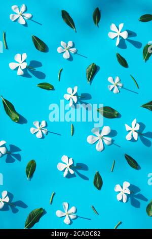 Flowers composition and frame made of various flowers on paper background. Stock Photo