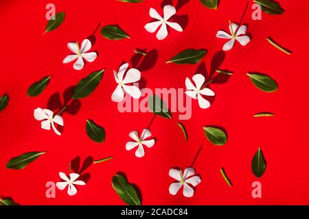 Flowers composition and frame made of various flowers on paper background. Stock Photo