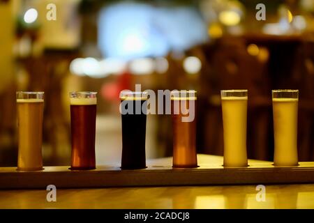 close up various kinds of beer in pint glasses on bar table. Arrayed glasses of beer in different colors. Blur background Stock Photo