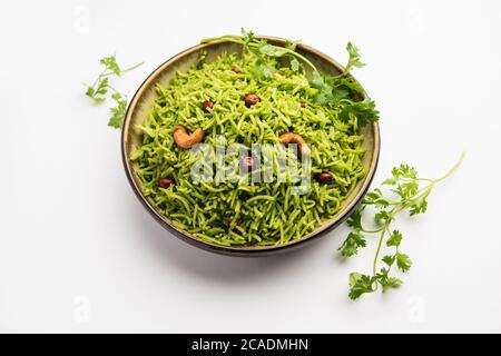 Coriander, Cilantro rice also called Dhaniya Chawal or pulao or kothamalli in India Stock Photo