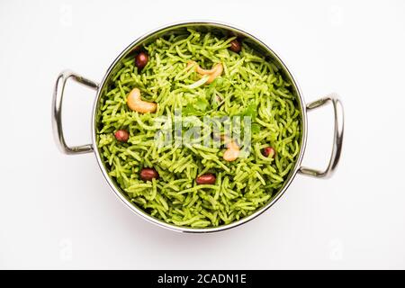 Coriander, Cilantro rice also called Dhaniya Chawal or pulao or kothamalli in India Stock Photo