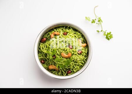 Coriander, Cilantro rice also called Dhaniya Chawal or pulao or kothamalli in India Stock Photo