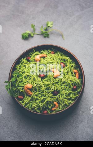 Coriander, Cilantro rice also called Dhaniya Chawal or pulao or kothamalli in India Stock Photo