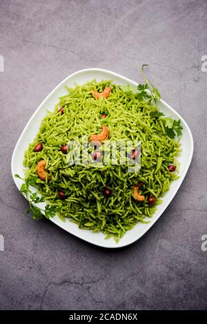 Coriander, Cilantro rice also called Dhaniya Chawal or pulao or kothamalli in India Stock Photo