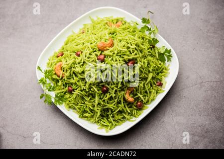 Coriander, Cilantro rice also called Dhaniya Chawal or pulao or kothamalli in India Stock Photo