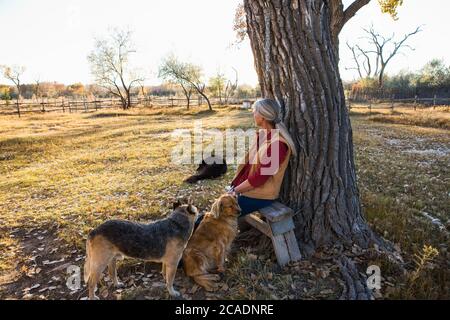 Mature woman at home on her property in a rural setting sitting under a tree, with three docs Stock Photo