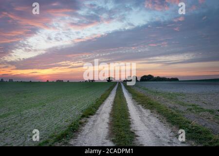 Coloured clouds during sunset over dirt road through fields Stock Photo