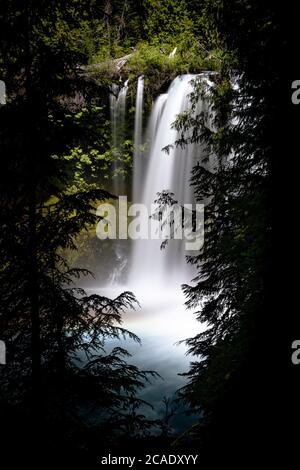 Koosah Falls on the McKenzie River in Oregon Stock Photo