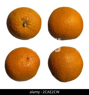 set of oranges on a white isolated background