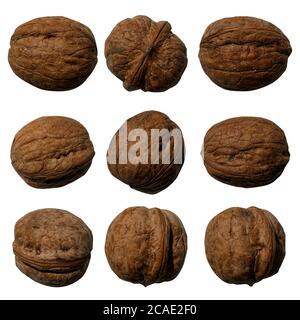 set of dried walnuts on a white isolated background Stock Photo