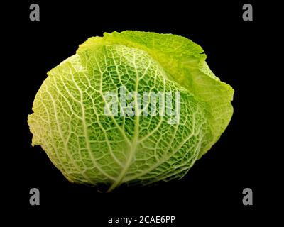 Savoy cabbage isolated against a black background Stock Photo