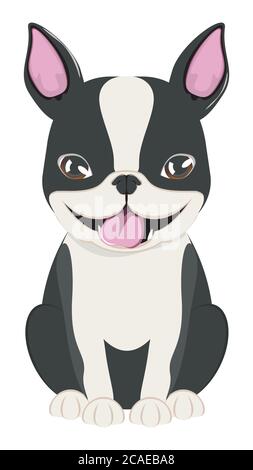 Cute cartoon dog, Boston Terrier illustration on white background. Stock Vector
