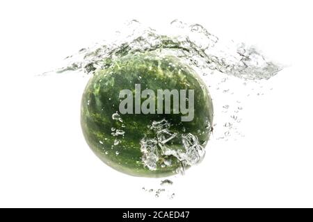 one green striped watermelon falling into water on a white background with splashes, drops and bubbles. summer fruit and berry. soft focus. Stock Photo