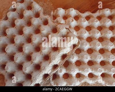 Empty cells for eggs on a pink wall background Stock Photo