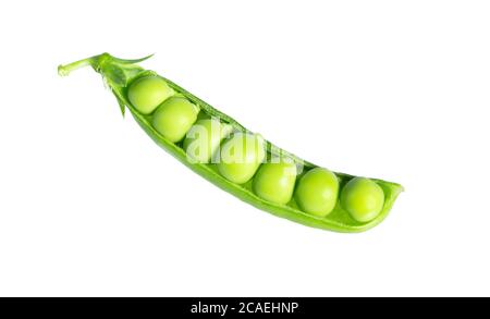 Fresh green pea pod with beans isolated on white background. Sweet pea in close up. Stock Photo