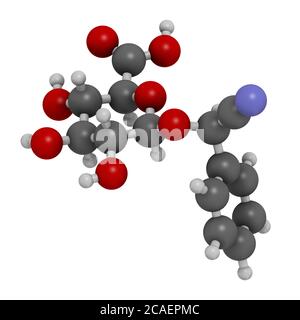 Laetrile molecule. Derivative of amygdalin. Used in quack cancer treatment. 3D rendering. Atoms are represented as spheres with conventional color cod Stock Photo