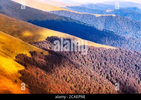 Picturesque autumn mountain ranges covered with red beech forest in the Carpathians, Ukraine. Landscape photography Stock Photo