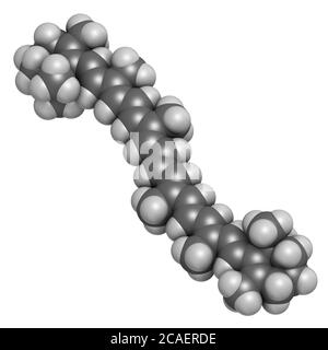 Beta-carotene pigment molecule. 3D rendering. Atoms are represented as spheres with conventional color coding: hydrogen (white), carbon (grey). Stock Photo