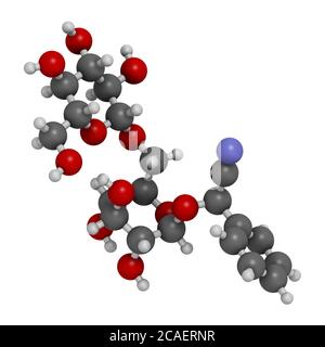 Amygdalin 3D rendering. Atoms are represented as spheres with conventional color coding: hydrogen (white), carbon (grey), oxygen (red), nitrogen (blue Stock Photo