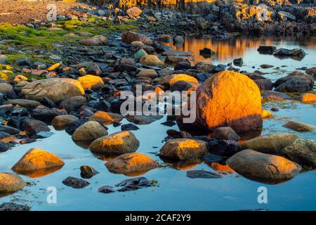 tidepools and rocks at dawn , Fogo, Newfoundland and Labrador NL, Canada Stock Photo