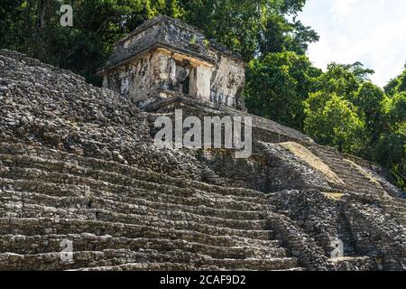 The Temple of the Skull, or Temple XII, in the ruins of the Mayan city of Palenque,  Palenque National Park, Chiapas, Mexico.  A UNESCO World Heritage Stock Photo