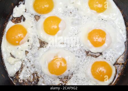 Fried eggs in a pan Stock Photo