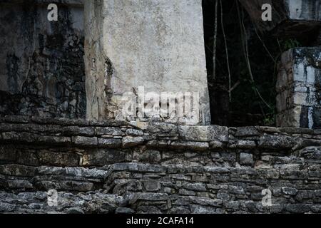 The Temple of the Skull, or Temple XII, in the ruins of the Mayan city of Palenque,  Palenque National Park, Chiapas, Mexico.  A UNESCO World Heritage Stock Photo